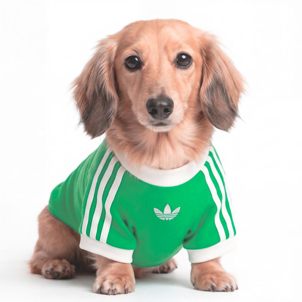 Adidas Pet Cali Tee