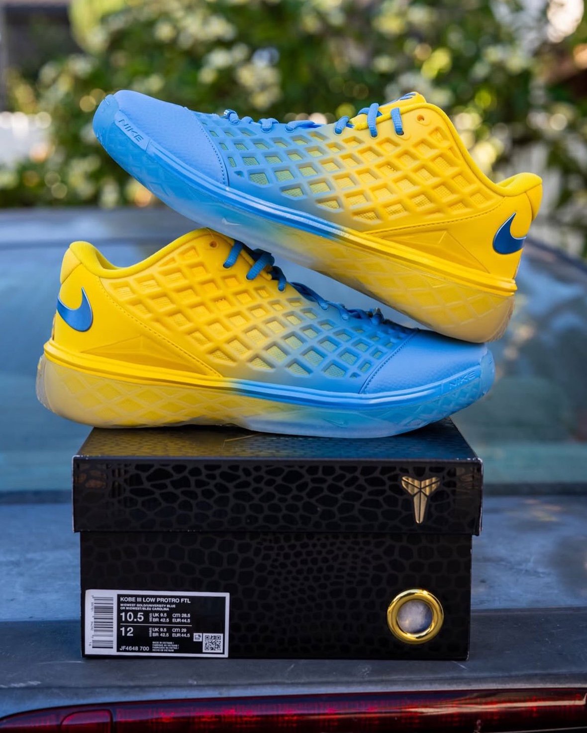 Nike Kobe 3 Low Protro 