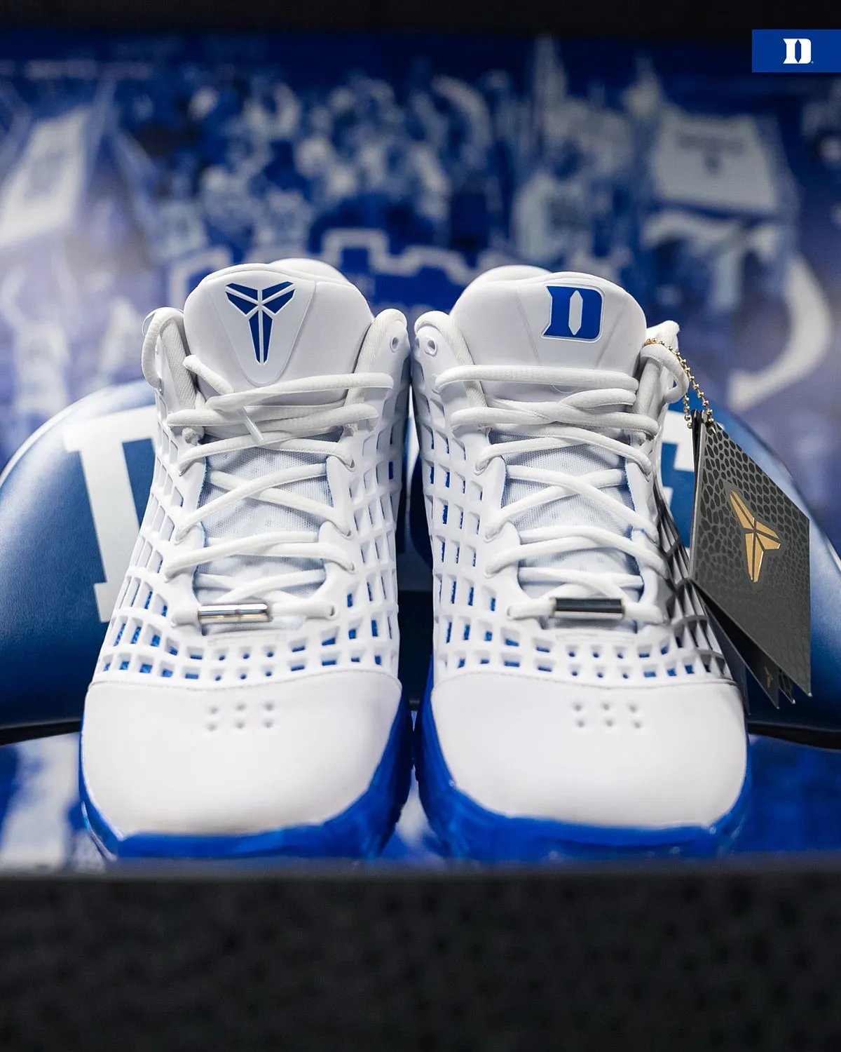 Duke's exclusive Nike Kobe 3 Low Protro player exclusive in blue and white colorway - detail view 2