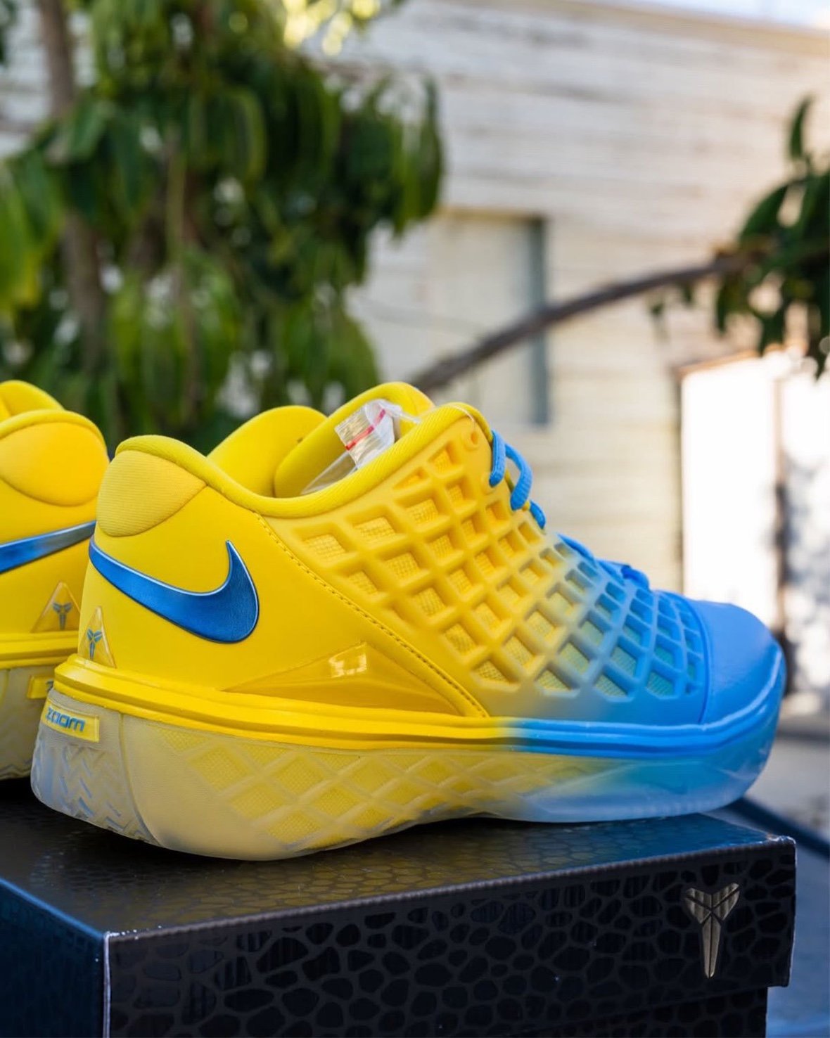 Nike Kobe 3 Low Protro 